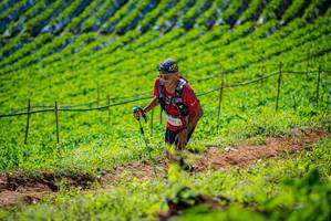 BIB: 
                            <button type="button" onclick="openModal(19162603)" class="btn btn-primary btn-sm float-right btn-popup" data-toggle="modal" data-target=".modal-high-quality">
                        <i class="fas fa-shopping-cart"></i> Add to Cart
                    </button>
                                            <button type="button" onclick="isThisMe(19162603, true)" class="btn btn-success btn-sm float-right btn-popup btn-isme hidden" data-toggle="tooltip" data-placement="bottom" title="นี่คือรูปของคุณใช่ไหม คลิกที่นี่เพื่อเอาเข้าอัลบั้ม">
                        <i class="fas fa-plus"></i> Add to album
                    </button>
                    <button type="button" onclick="isThisMe(19162603, false)" class="btn btn-warning btn-sm float-right btn-popup btn-isnotme hidden">
                        <i class="fas fa-ban"></i> Remove from album
                    </button>